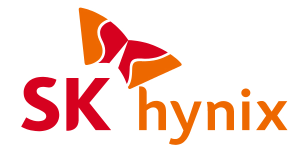 SK Hynix RAM Module